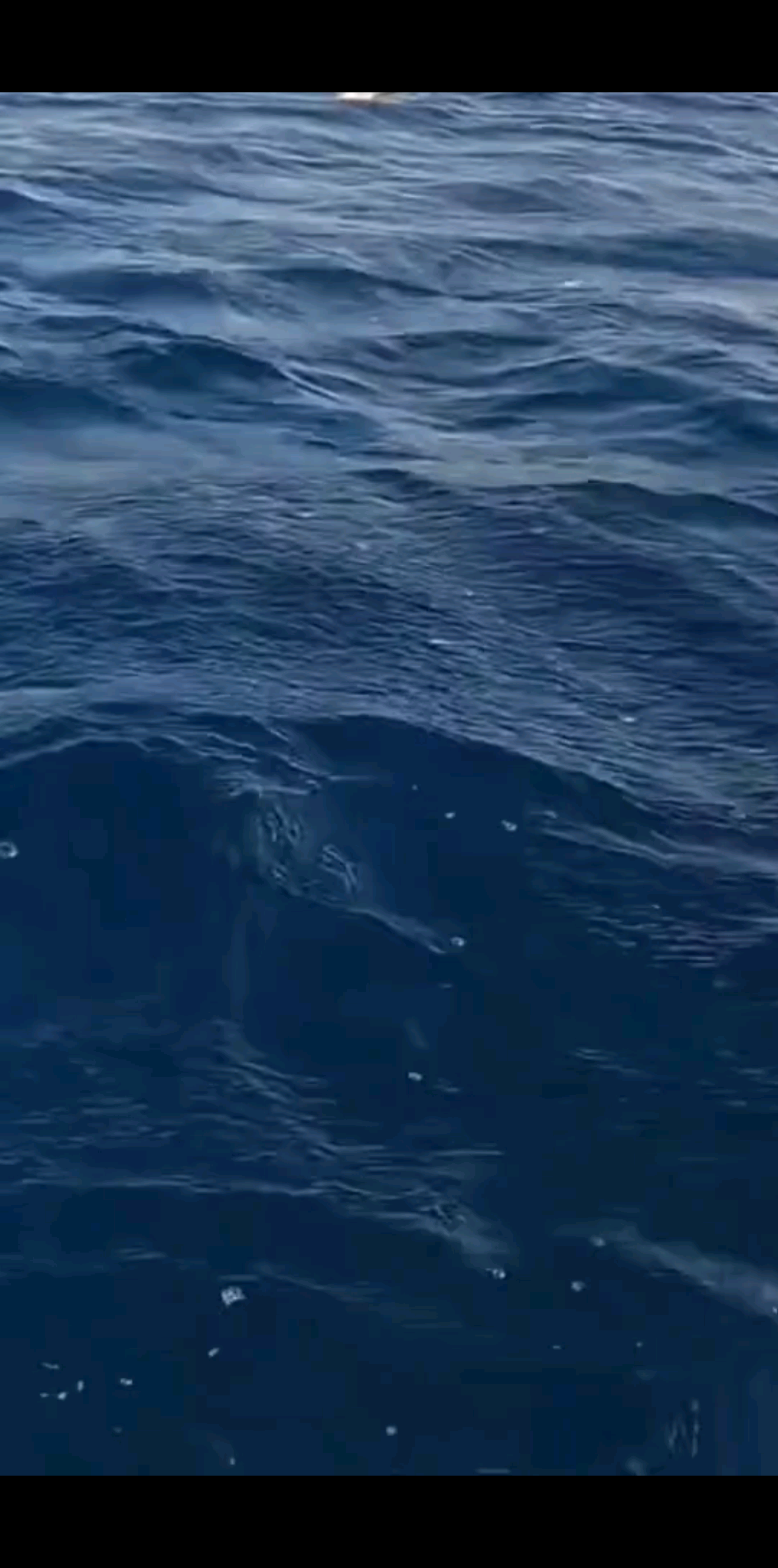 沿着海岸线从惠州福建