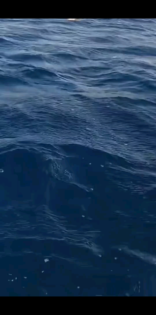 沿着海岸线从惠州福建