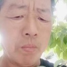 刘殿辉g