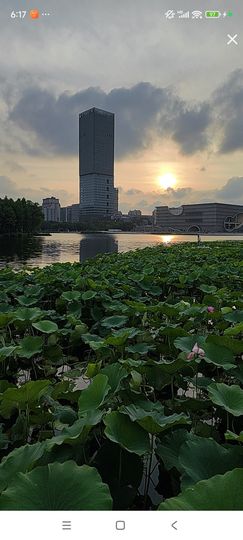 婷婷💕求过月底任务主播照片