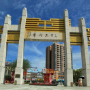 天地一沙鸥i4