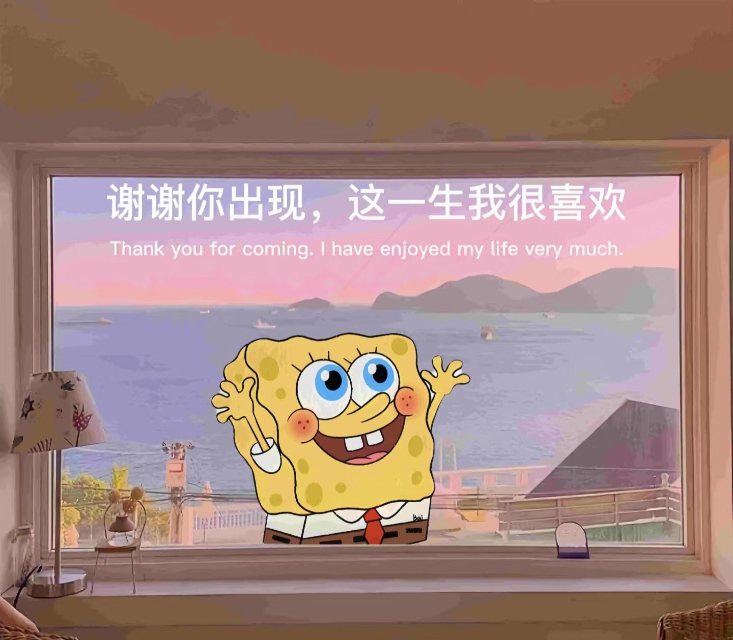 温暖宝宝1号周年啦主播图片