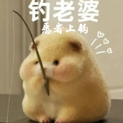 叶落禾城