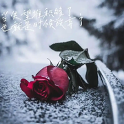 @退玩的头像