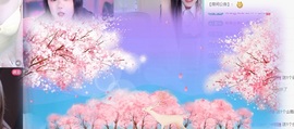 白Y鸭。今晚不播主播照片