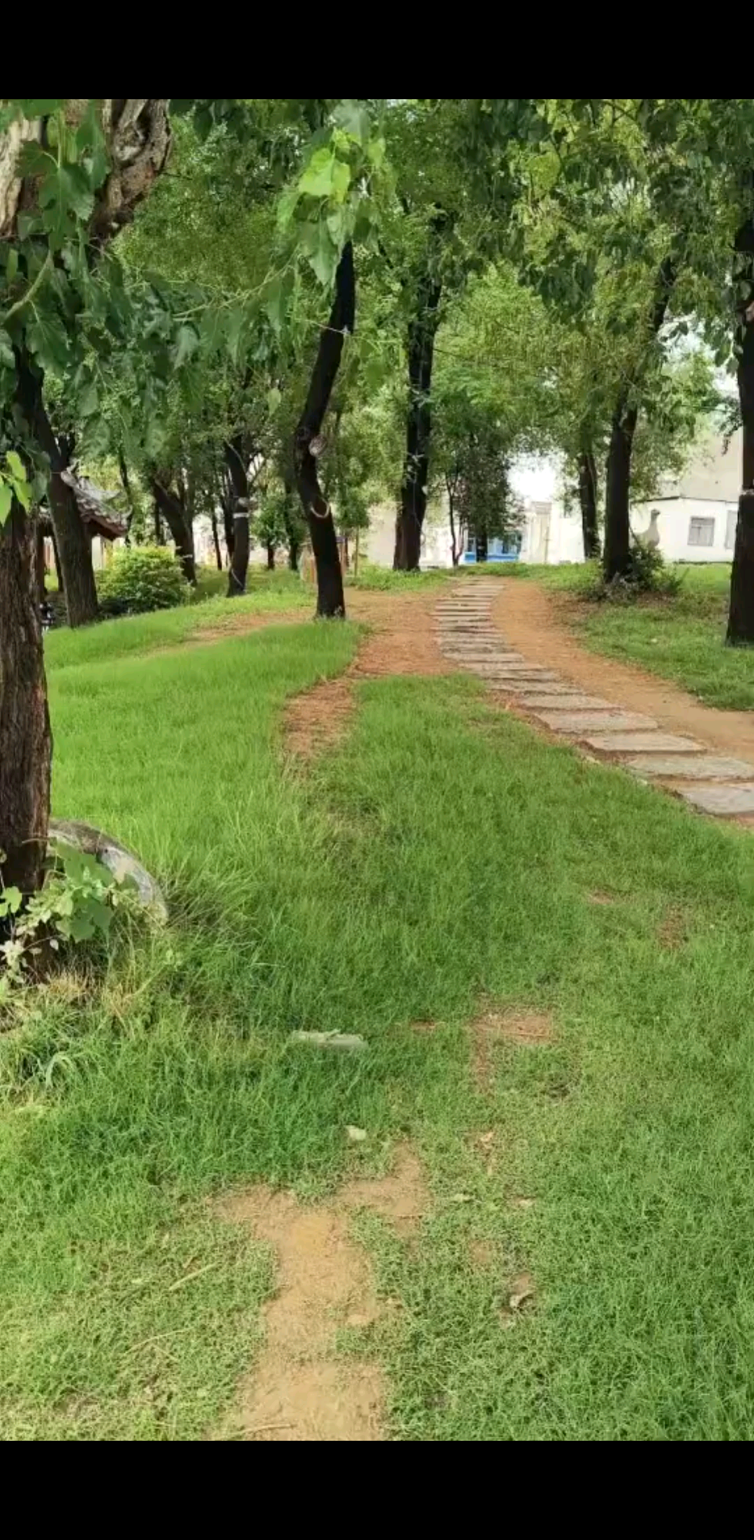雨后