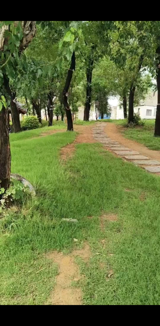 雨后