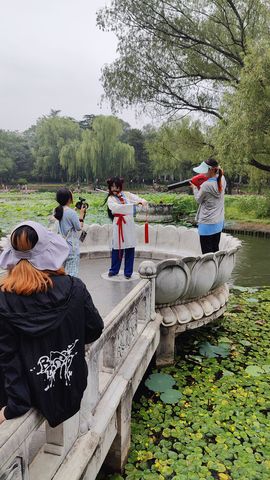 枯荷@听雨的图片