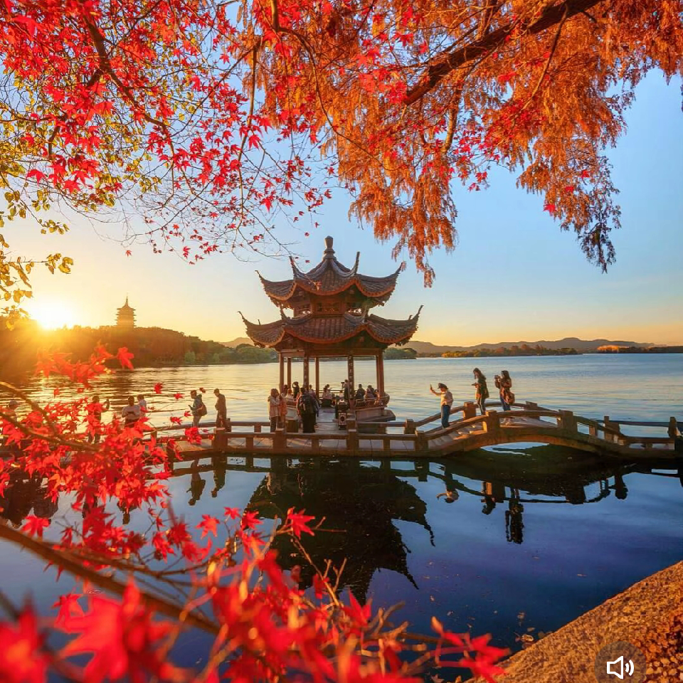 曲苑🌻⃟⸜🍁风荷海报