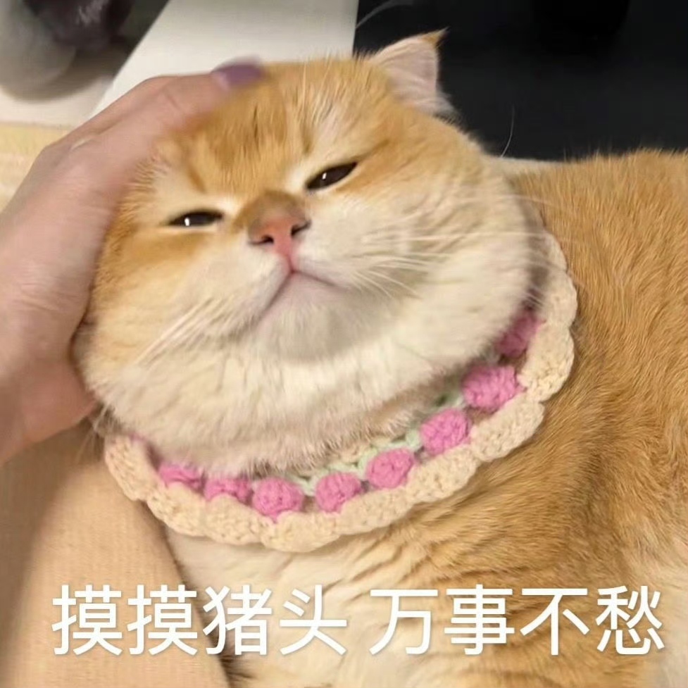 小雪碧休一天～主播圖片