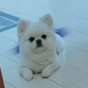 8023??許你一生的頭像