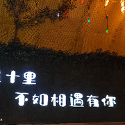 小蚂蚁钟情下雨天