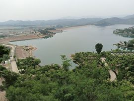 亲爱的你在想我吗冷凡的图片