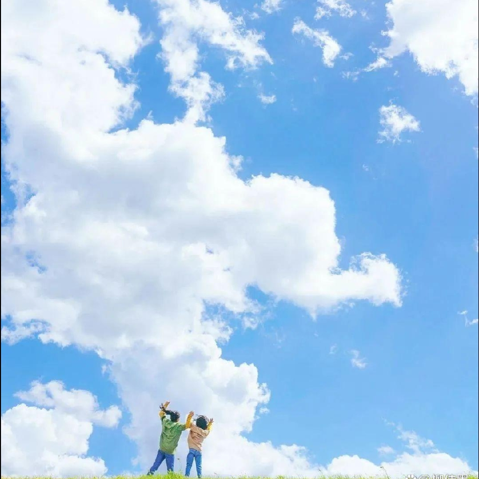 路过的风🌤海报