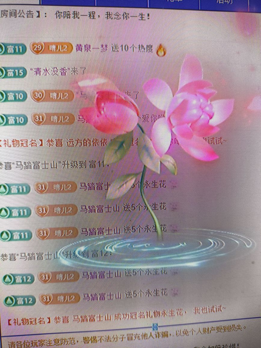 晴兒21主播圖片