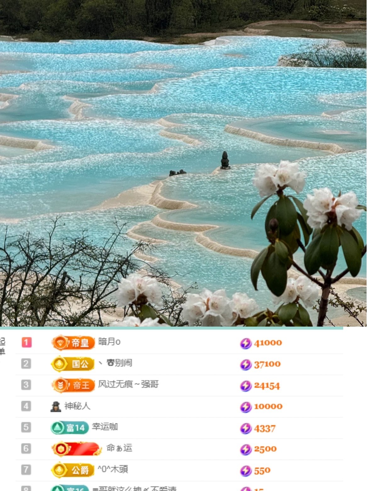 蘇打...的主播照片