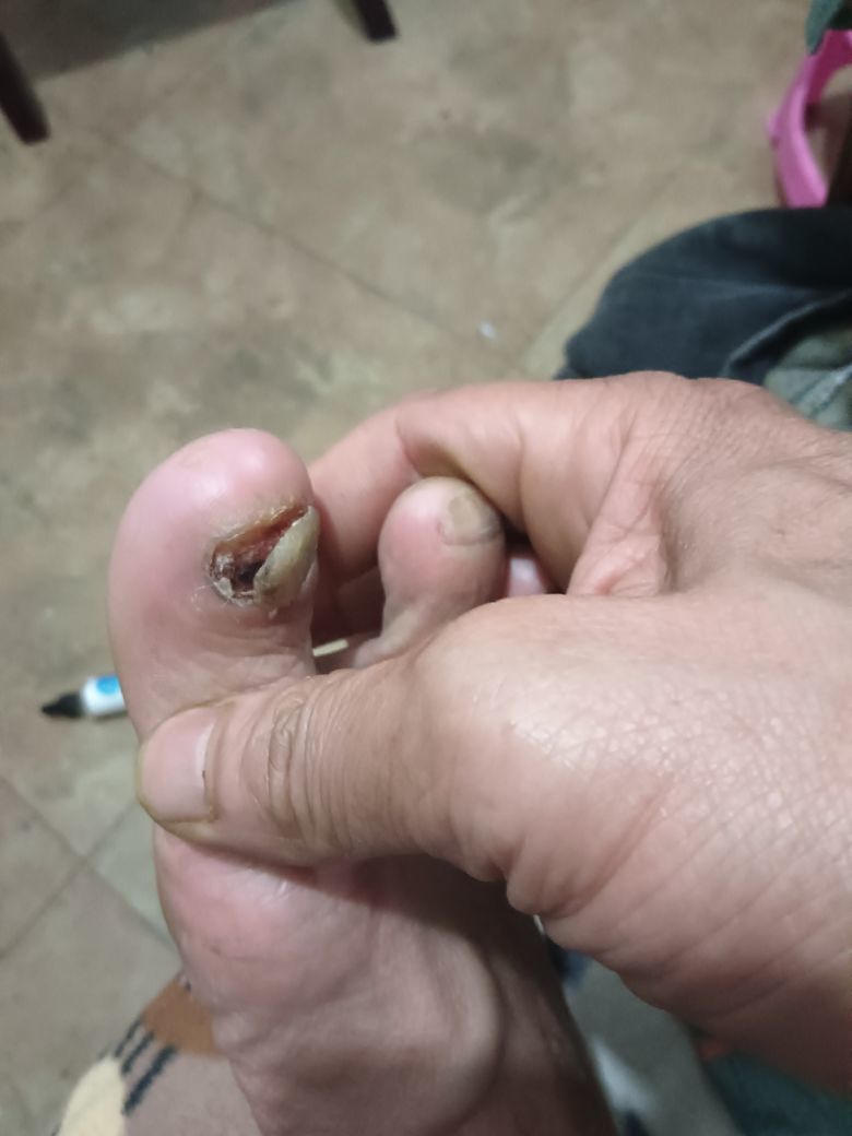 过客的遗忘的图片