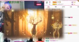 幸运✨萍儿主播照片