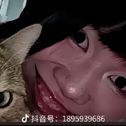 你不靠譜的爹來(lái)了的頭像
