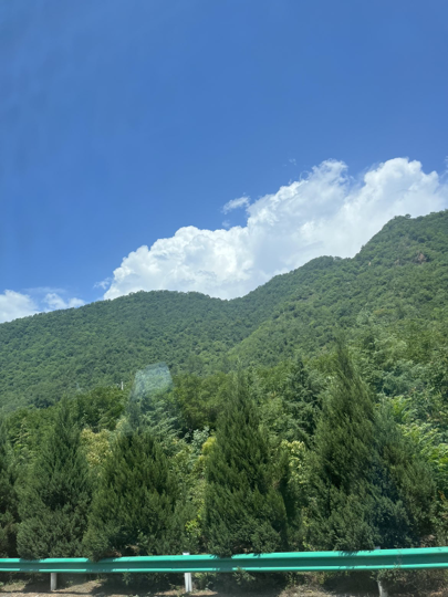不着叫啥名海报