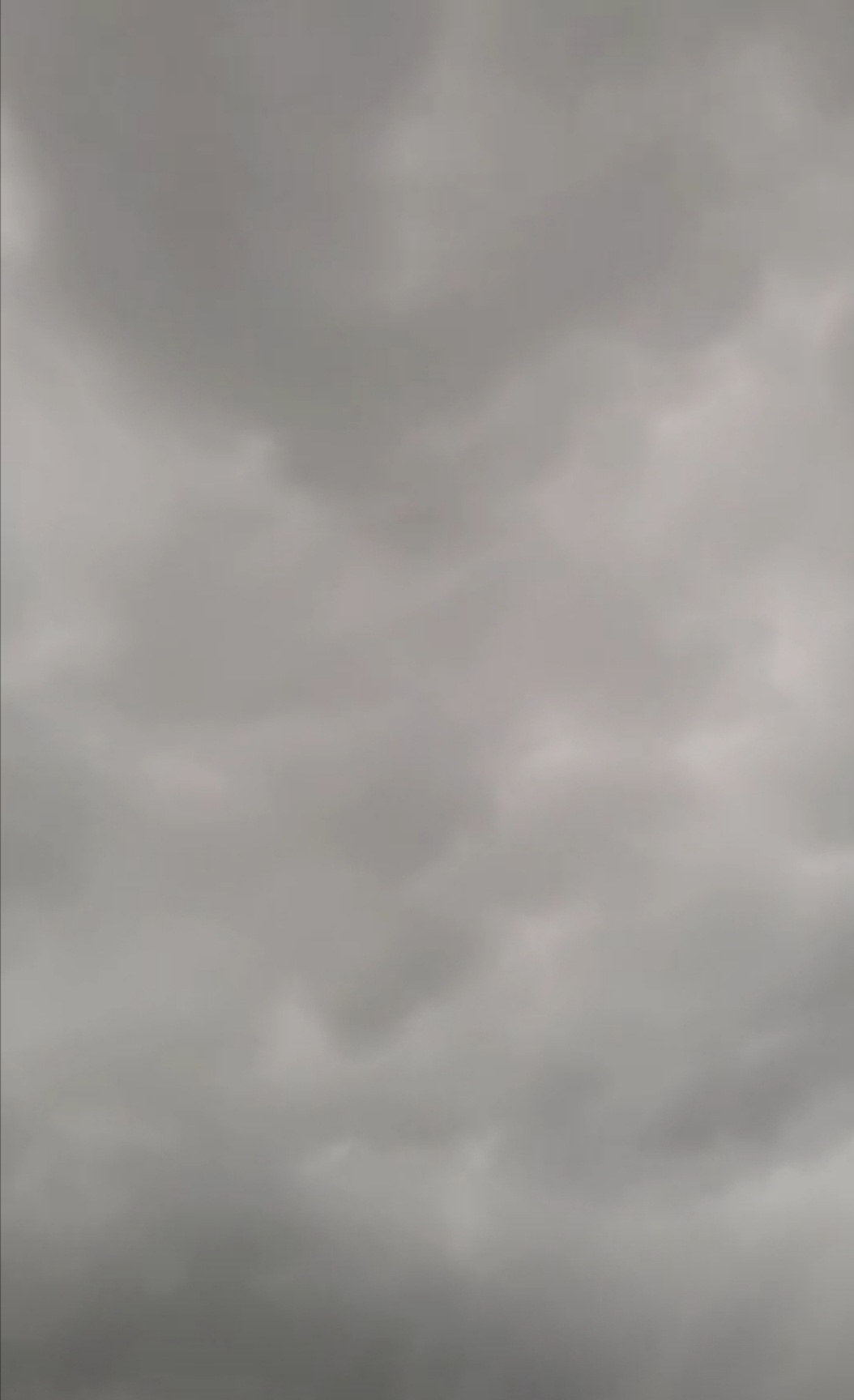 小白队长💧心里美☜的图片