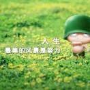 会飞的燕子o