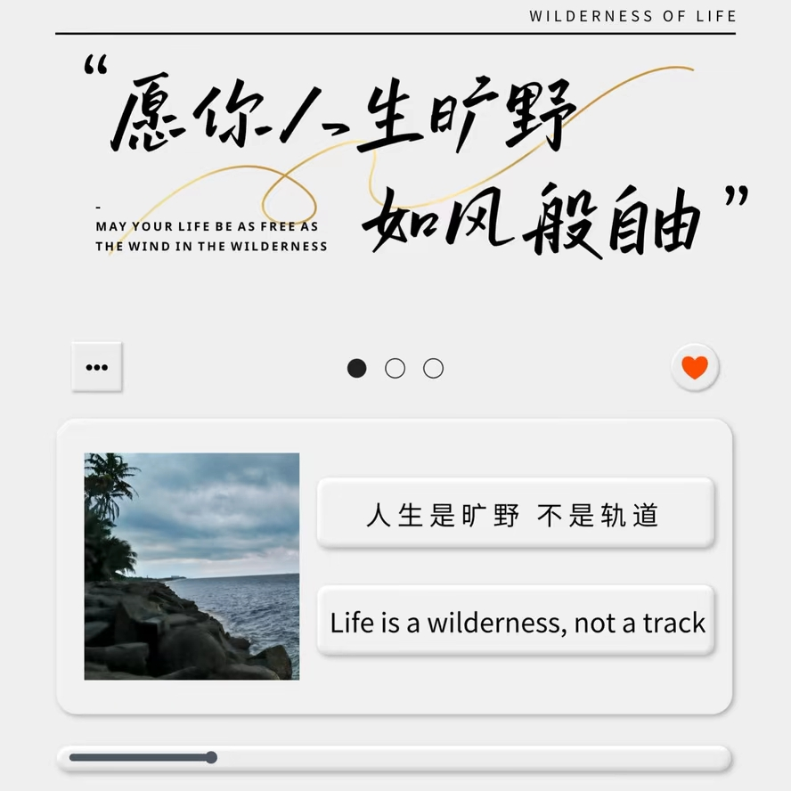 张三千c海报