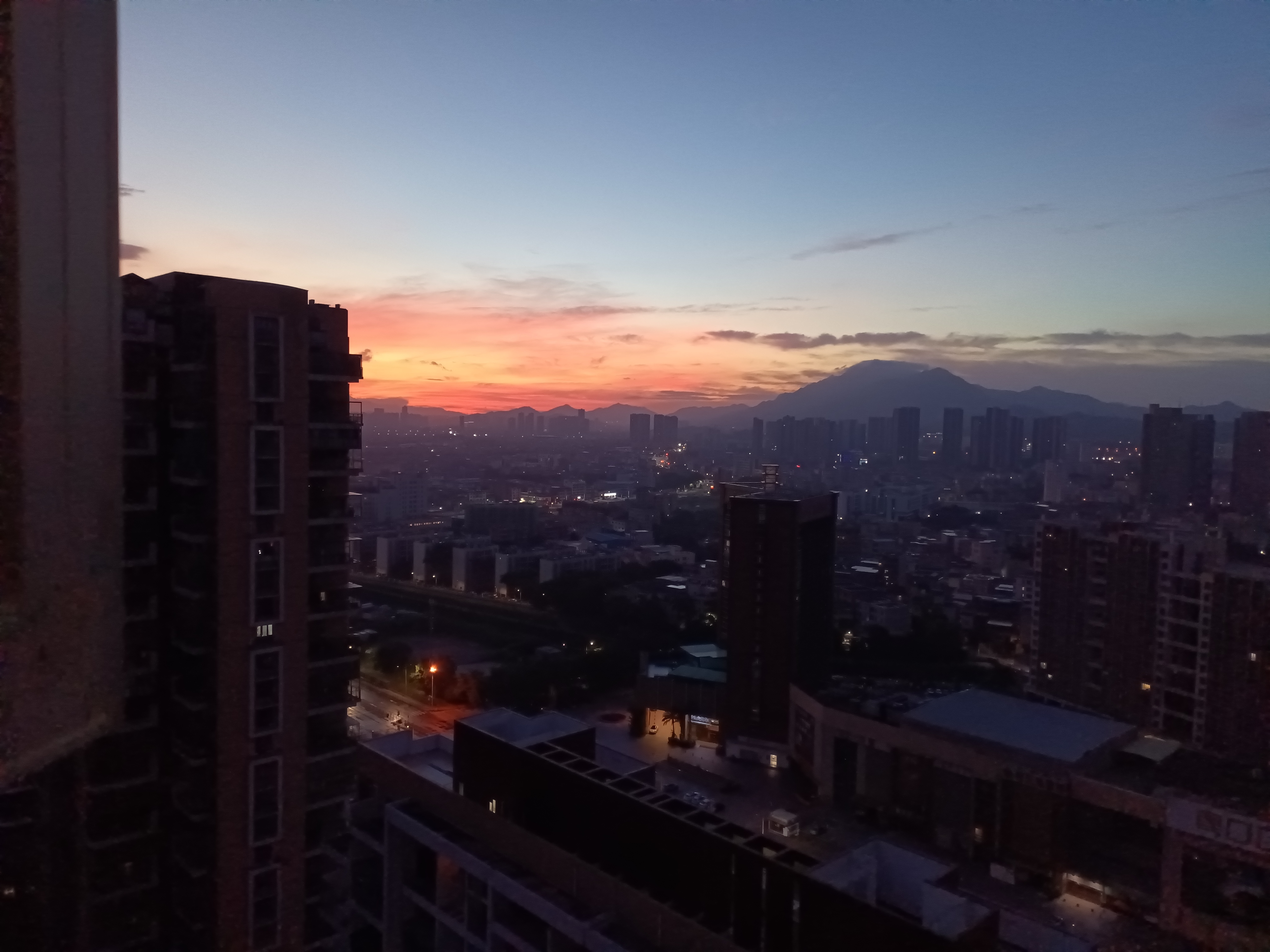 甜甜私房猫_的图片