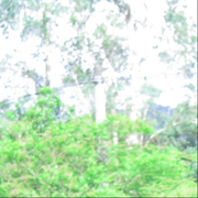 公寓薄荷规划