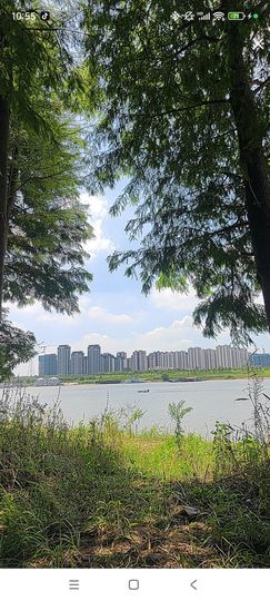 婷婷💕感恩有你陪伴的图片