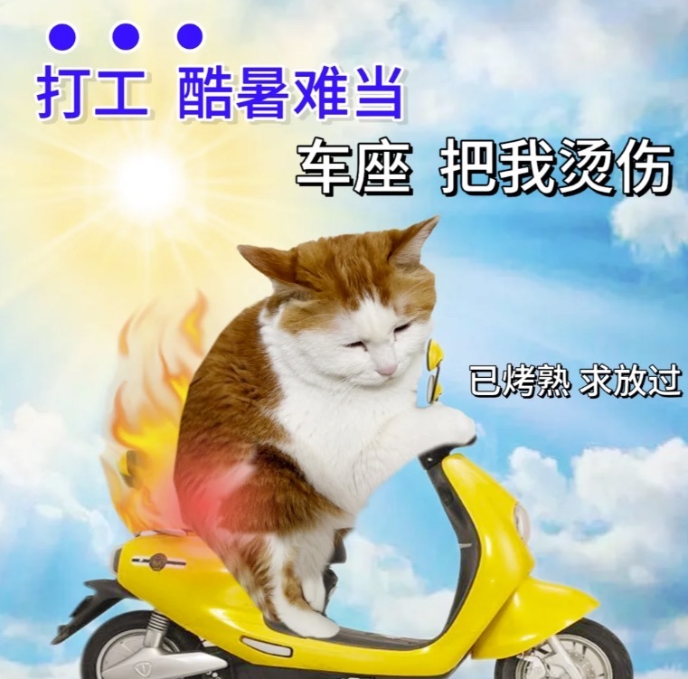 萌妹早晚播的主播照片