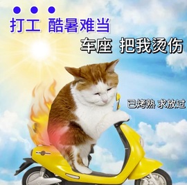 萌妹晚上6点播主播照片