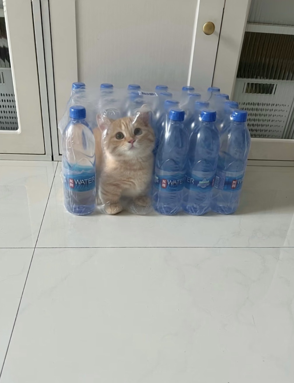 洁儿宝宝💗的图片