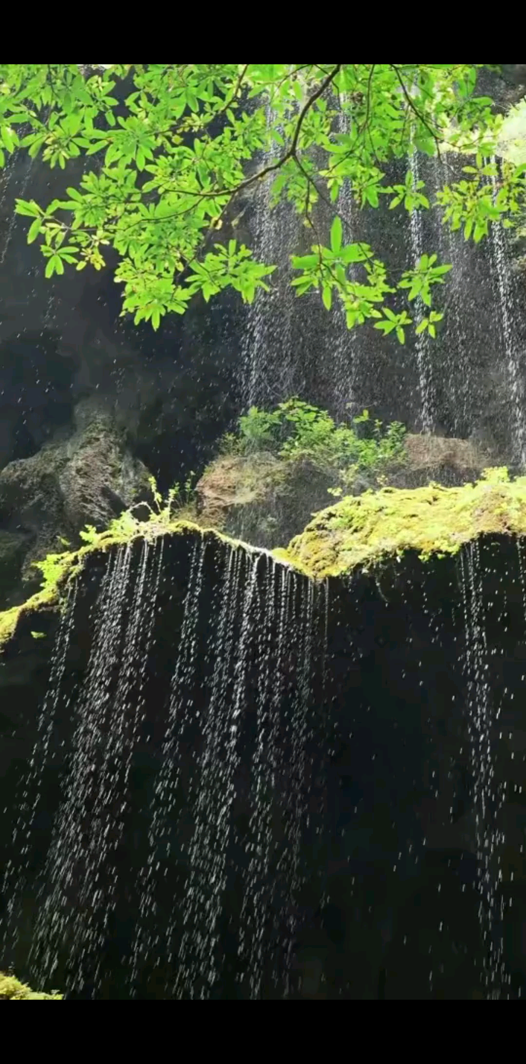 ☘️☘️早安，宝贝哥