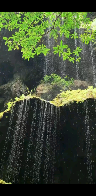 ☘️☘️早安，宝贝哥
