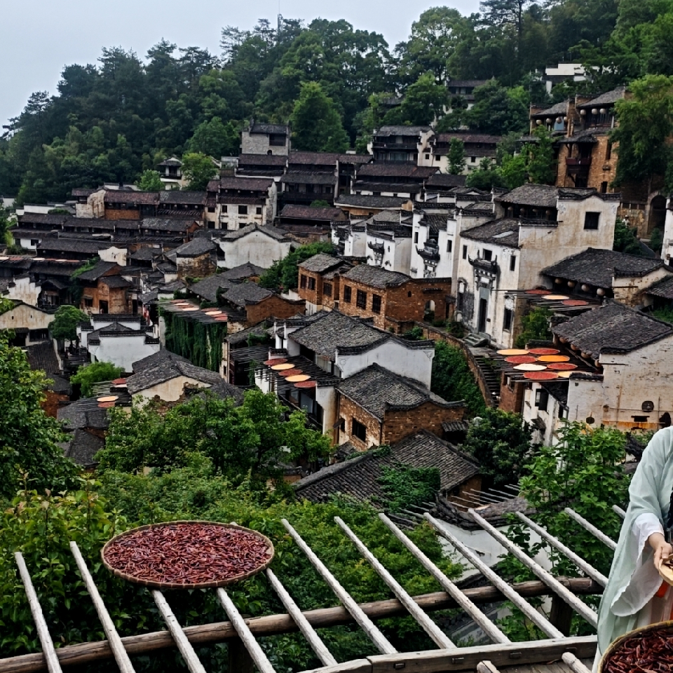 就是这么任性……海报