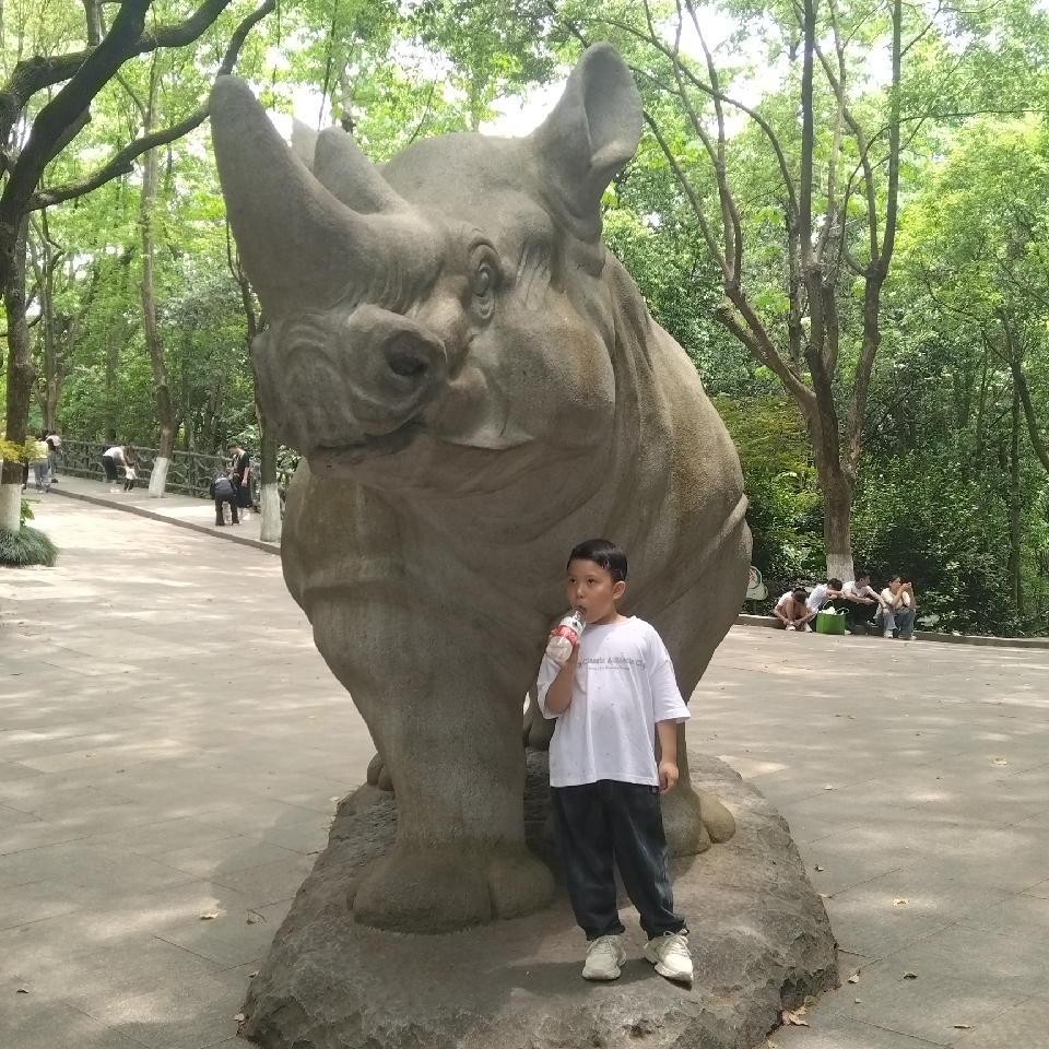 你直播间出现不雅行为海报
