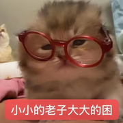 小鱼干32222