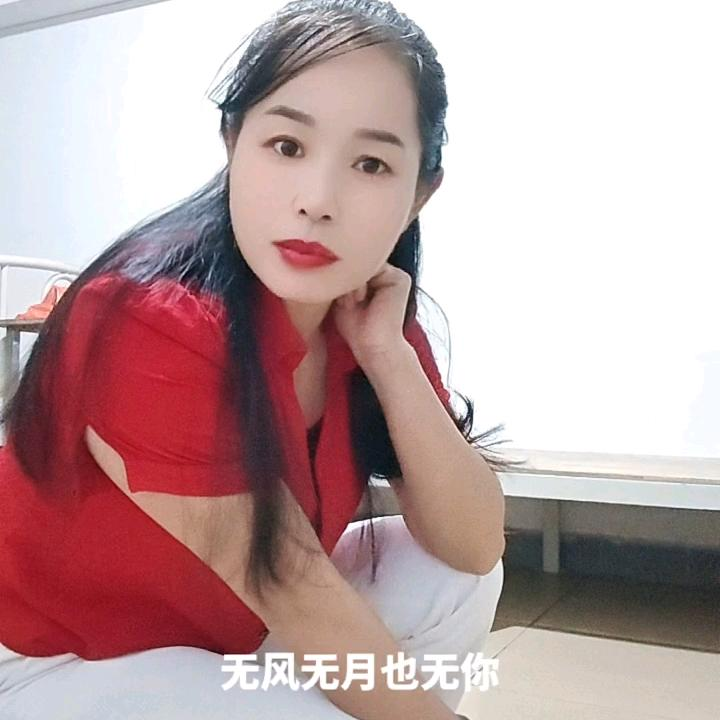 海燕单身海报