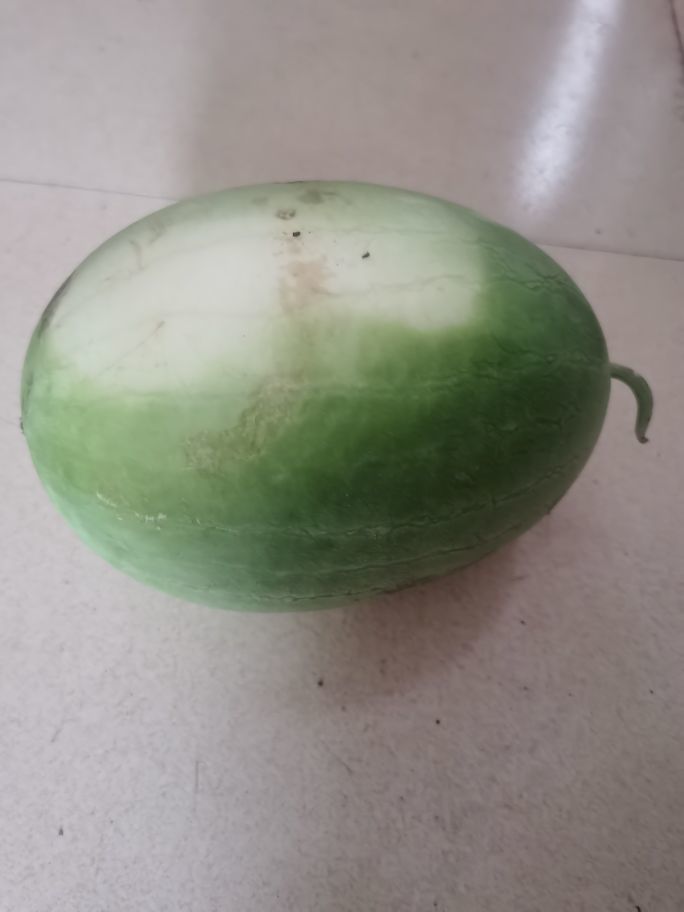 天王盖地虎044的主播照片