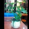 贺学伟k的头像
