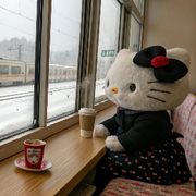 一只kk猫