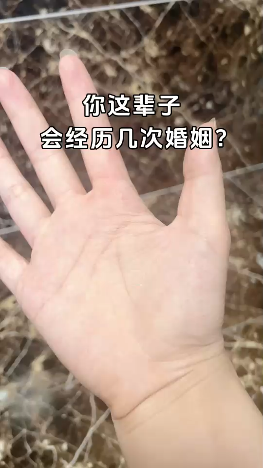 有希望吗/狂笑/狂笑