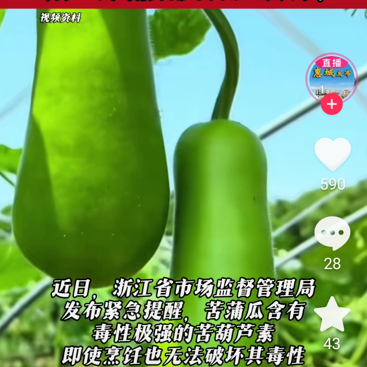 com游客.海报
