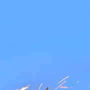 〆无🈚悟禅定的头像