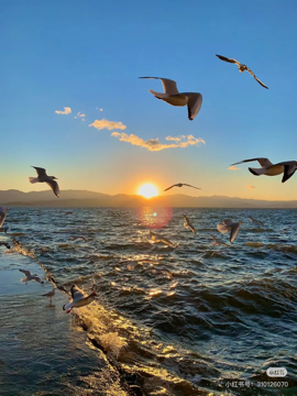 ヅ★—メ—咩咩—★ラ海报