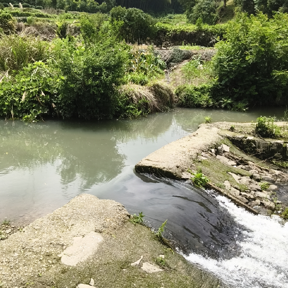 耀耀爱钓鱼♭海报