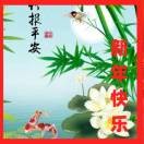 风雨人生kd*