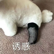 我呸呸呸呸呸呸