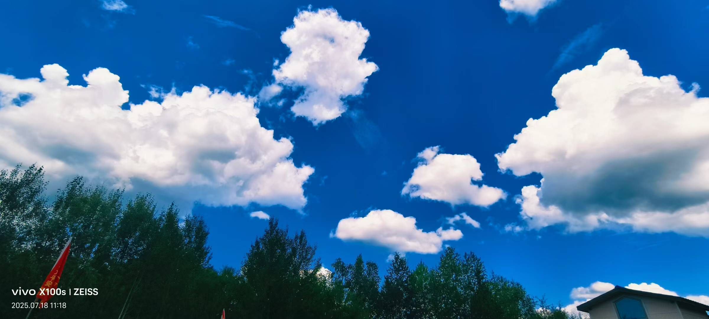 妞妞骑行宁夏银川的图片